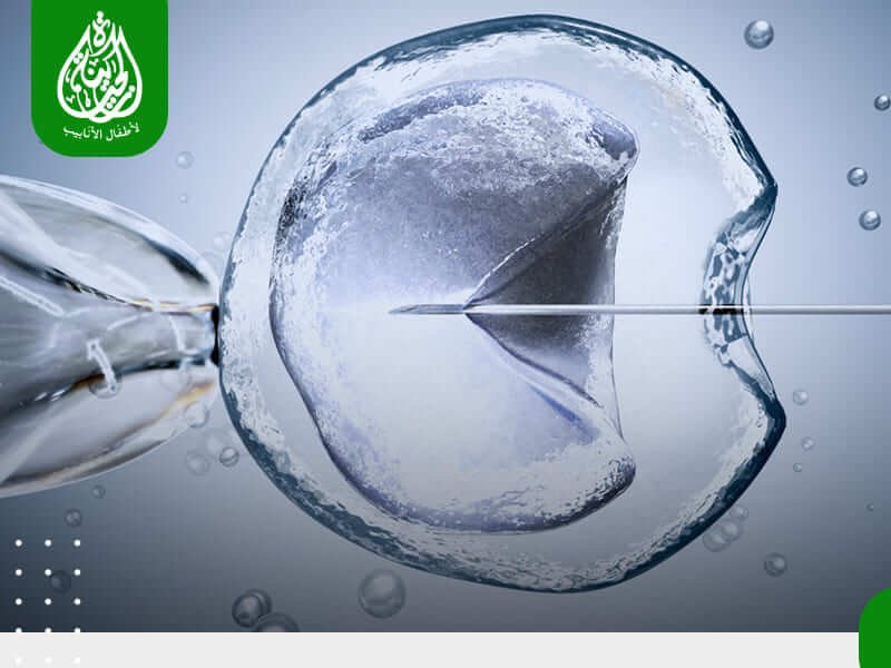 الرئيسية 10 الحقن المجهري